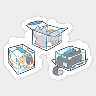 Boxed Cats Sticker